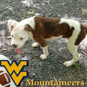 Meet your Posher, Richard